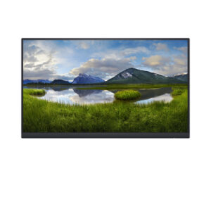 Écran neuf 22" DELL P2222H sans socle 1920 x 1080 - VGA/DP